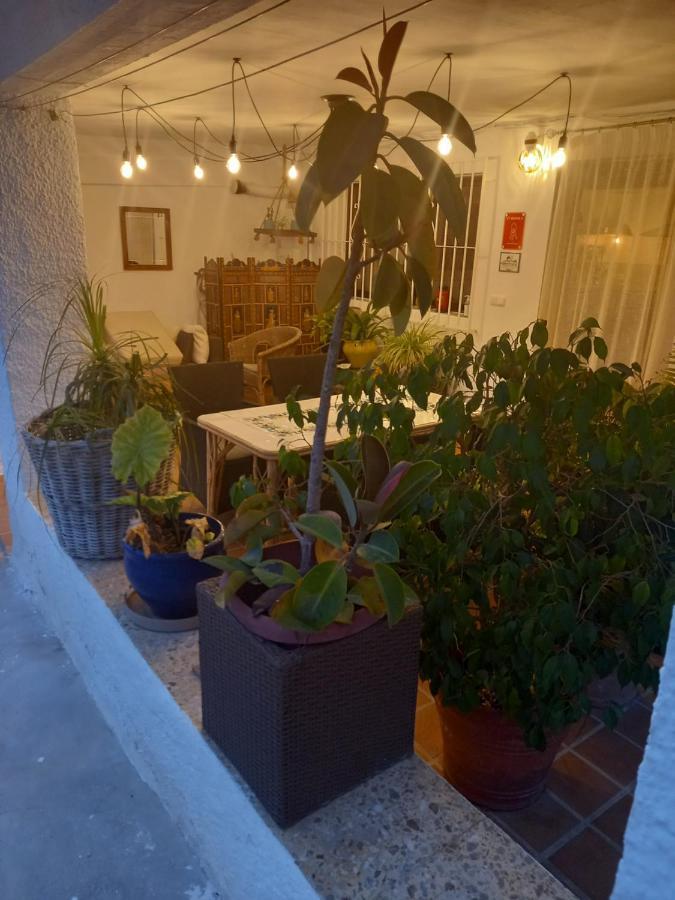 הוילה Casa Eline De Lujo Casco Antiguo Altea Piscina Privada Y Jardin מראה חיצוני תמונה