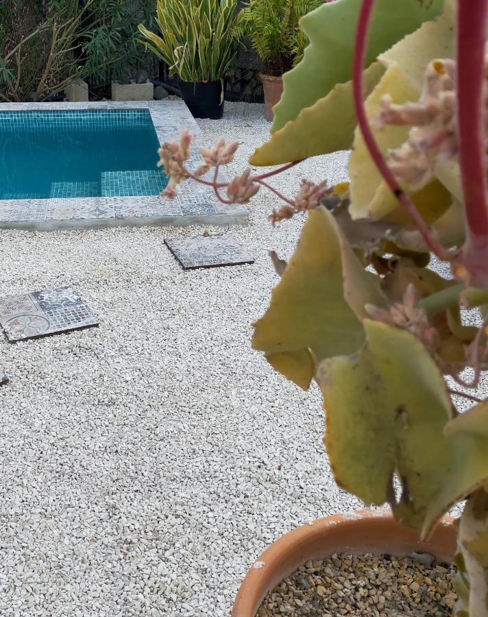 הוילה Casa Eline De Lujo Casco Antiguo Altea Piscina Privada Y Jardin מראה חיצוני תמונה