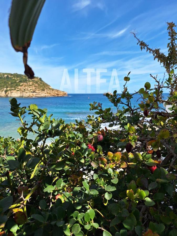 הוילה Casa Eline De Lujo Casco Antiguo Altea Piscina Privada Y Jardin מראה חיצוני תמונה